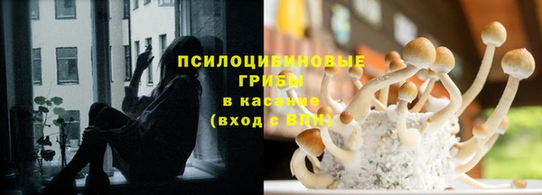молекула духа Абаза