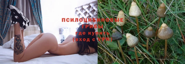 молекула духа Абаза